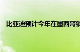 比亞迪預計今年在墨西哥銷售5萬輛汽車，明年銷量翻番