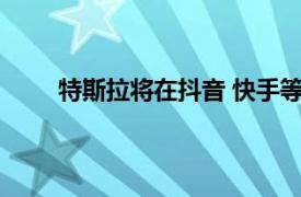 特斯拉將在抖音 快手等平臺直播Robotaxi發布會