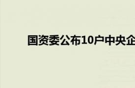 國資委公布10戶中央企業12名領導人員職務任免