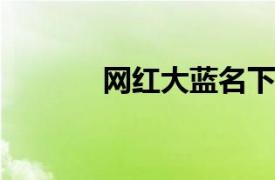 網紅大藍名下多家公司已注銷