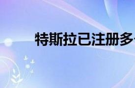 特斯拉已注冊多個CYBER系列商標
