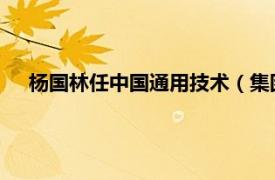 楊國林任中國通用技術（集團）控股有限責任公司副總經理