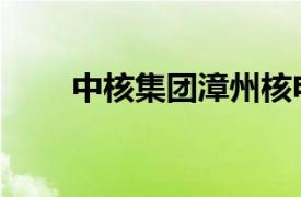 中核集團漳州核電1號機組獲批裝料