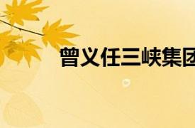 曾義任三峽集團董事 黨組副書記