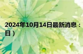 2024年10月14日最新消息：民國九年銀元價格（2024年10月14日）