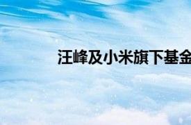 汪峰及小米旗下基金退股野馬現(xiàn)場關(guān)聯(lián)公司