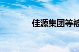 佳源集團等被強制執行3.3億