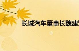 長城汽車董事長魏建軍叫停毫末智行港股IPO