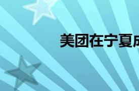 美團在寧夏成立科技新公司