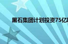 黑石集團計劃投資75億歐元在西班牙開發數據中心