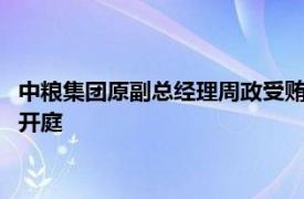 中糧集團原副總經理周政受賄 貪污 國有公司人員濫用職權案一審開庭