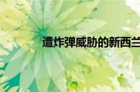 遭炸彈威脅的新西蘭航空飛機降落悉尼機場