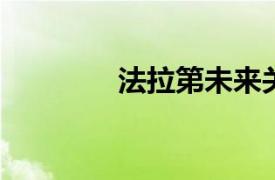 法拉第未來關聯公司被限消