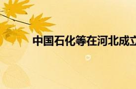 中國石化等在河北成立能源公司，注冊資本6億