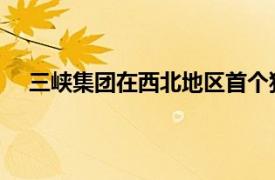 三峽集團在西北地區首個獨立儲能項目實現全容量并網
