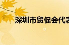深圳市貿(mào)促會(huì)代表團(tuán)拜訪(fǎng)沙特投資部