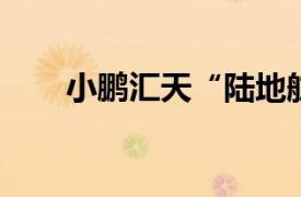 小鵬匯天“陸地航母”完成載人首飛