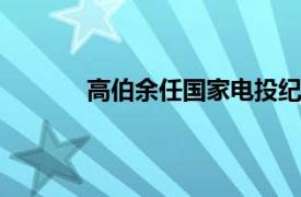 高伯余任國家電投紀檢監察組組長 黨組成員