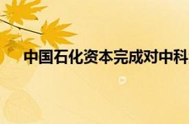 中國石化資本完成對中科深藍匯澤新能源PreA輪投資