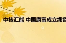 中核匯能 中國康富成立綠色能源合伙企業，出資額53.5億