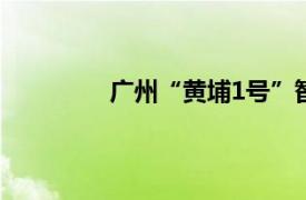 廣州“黃埔1號(hào)”智算集群建設(shè)正式啟動(dòng)