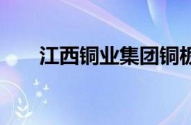 江西銅業(yè)集團(tuán)銅板帶公司增資至17億