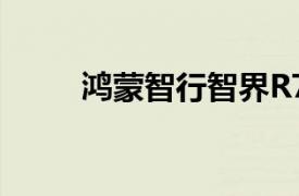 鴻蒙智行智界R7累計大定超3萬臺