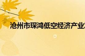 滄州市琛鴻低空經濟產業發展基金成立，出資額2億元