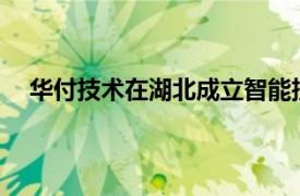 華付技術在湖北成立智能技術發(fā)展公司，含多項AI業(yè)務