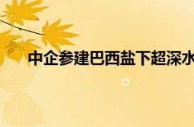 中企參建巴西鹽下超深水油田梅羅三期項目順利投產(chǎn)