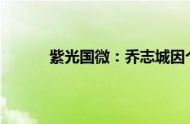 紫光國微：喬志城因個人原因辭去副總裁職務
