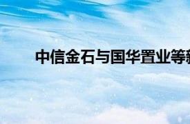 中信金石與國華置業(yè)等新設(shè)合營企業(yè)案進(jìn)入公示期