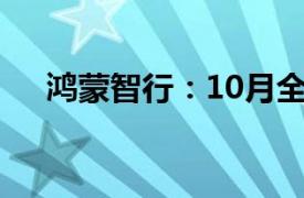 鴻蒙智行：10月全系交付新車41643輛