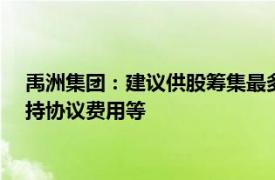 禹洲集團：建議供股籌集最多約1.122億港元，用于支付重組支持協議費用等
