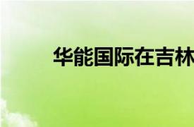 華能國際在吉林新設(shè)新興能源公司