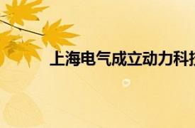 上海電氣成立動力科技公司，注冊資本10億元