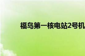 福島第一核電站2號機組核燃料殘渣首次被取出