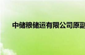 中儲糧儲運有限公司原副總經理劉福群接受審查調查