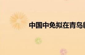 中國中免擬在青島臨空經濟區建設免稅城