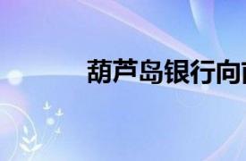 葫蘆島銀行向前掌門人“討薪”