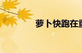 蘿卜快跑在重慶成立新公司
