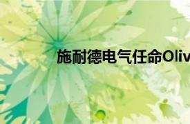 施耐德電氣任命Olivier Blum為首席執行官