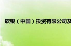 軟銀（中國）投資有限公司及其法定代表人徐有智被限制消費