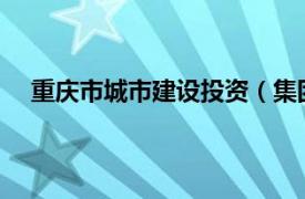 重慶市城市建設投資（集團）有限公司董事長王岳被查