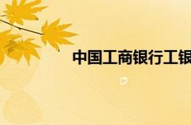 中國工商銀行工銀自貿總部在上海成立