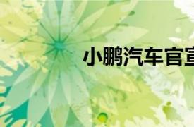 小鵬汽車官宣進入增程賽道