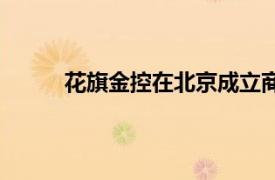花旗金控在北京成立商業(yè)公司，注冊資本1億元
