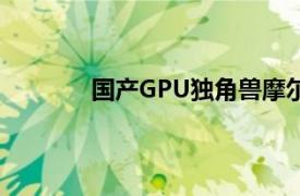 國產(chǎn)GPU獨(dú)角獸摩爾線程即將啟動(dòng)IPO輔導(dǎo)