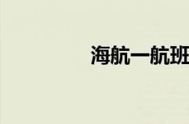海航一航班遭遇鳥擊返航
