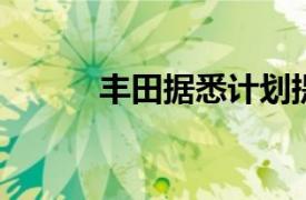 豐田據(jù)悉計(jì)劃提高在華汽車產(chǎn)量